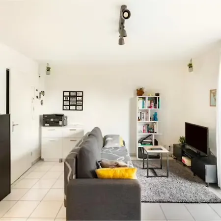 Appartement T2 40 M2 - Tout Equipe Et Calme Toulouse Exterior photo